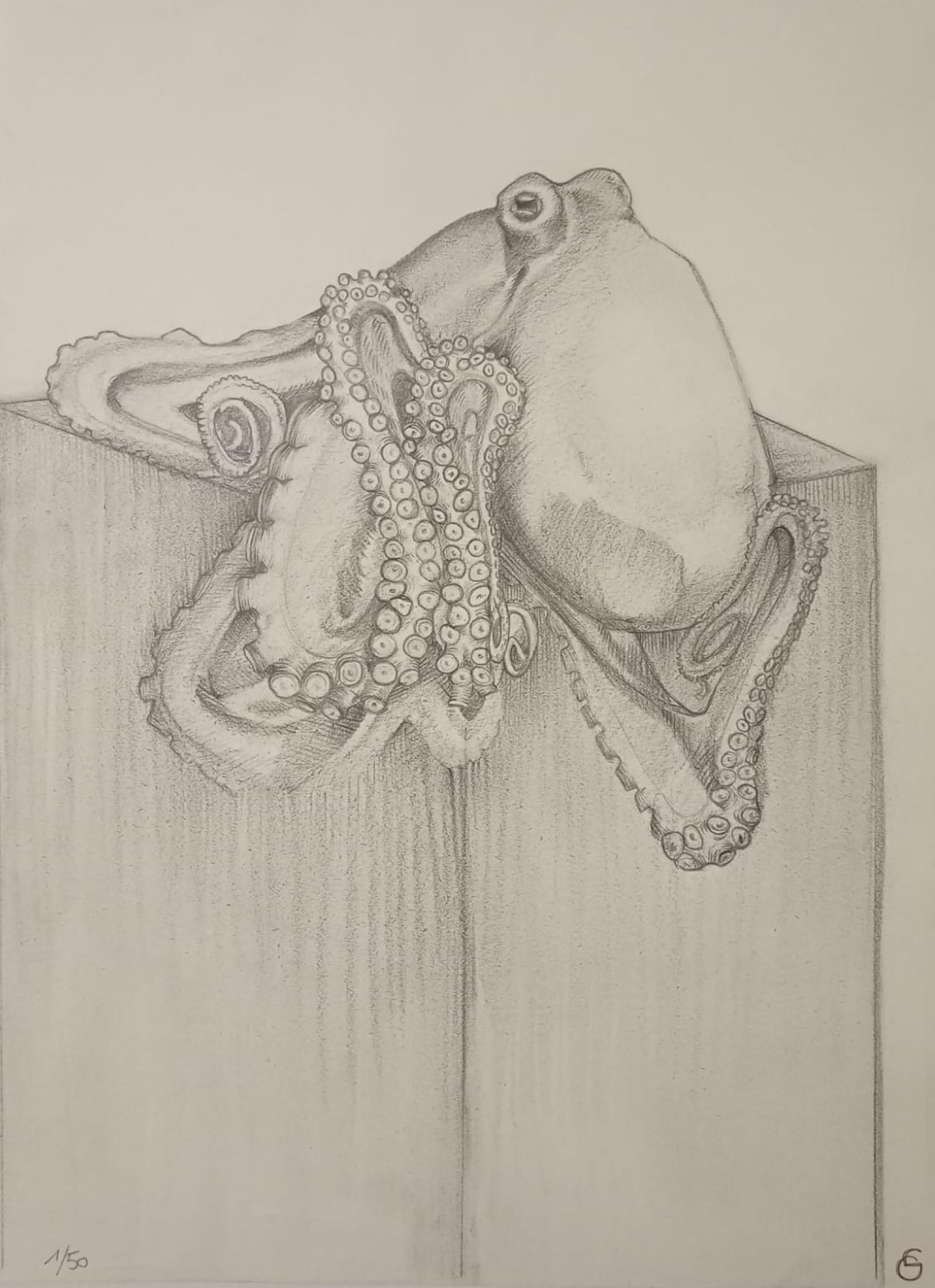 On the surface