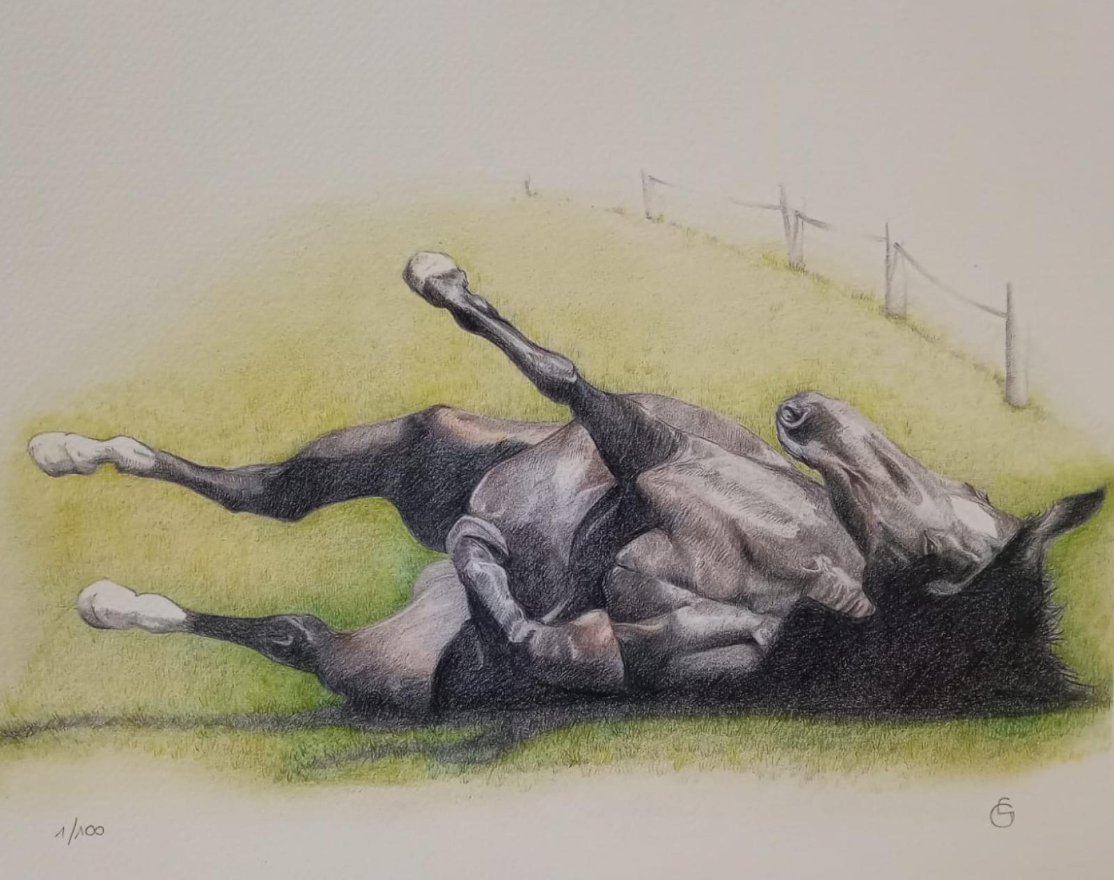 Freedom on the Grass