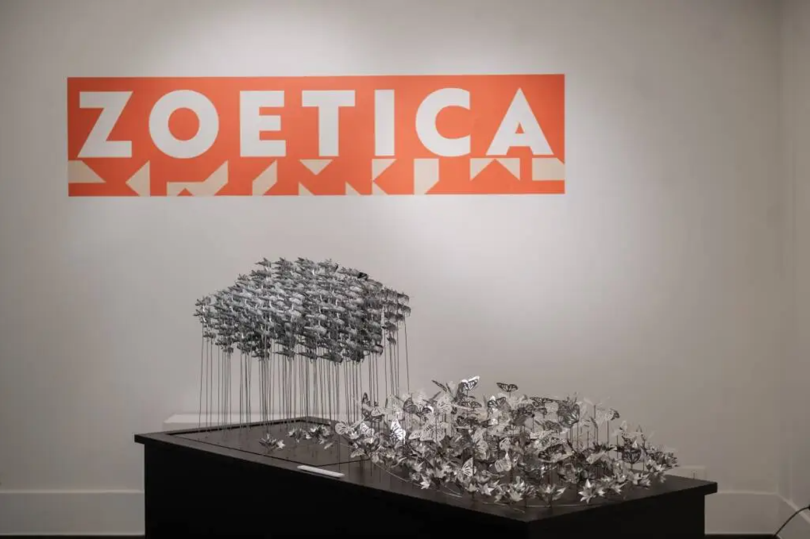 Zoetica distruzione e rinascita