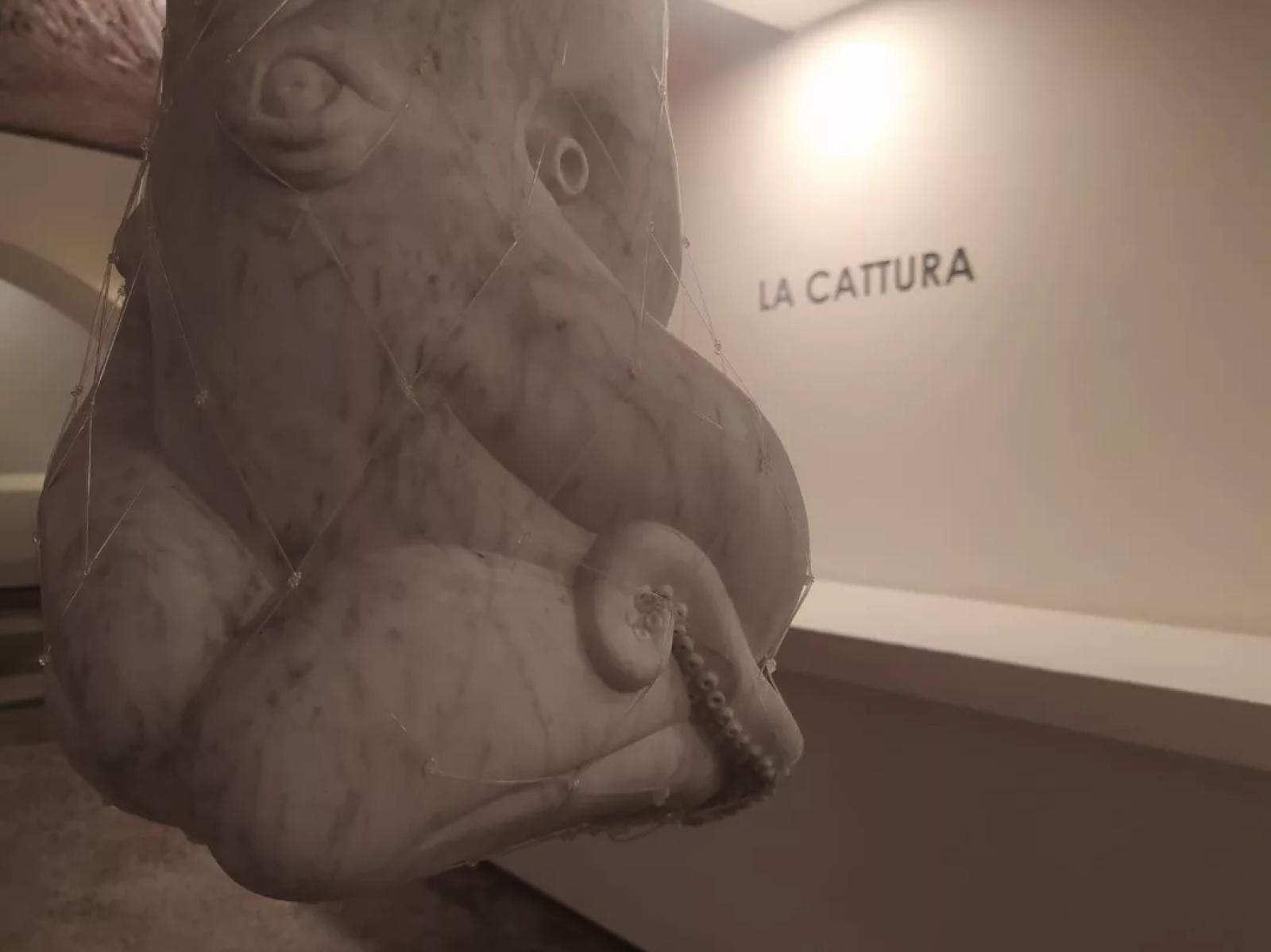 Biffi La cattura