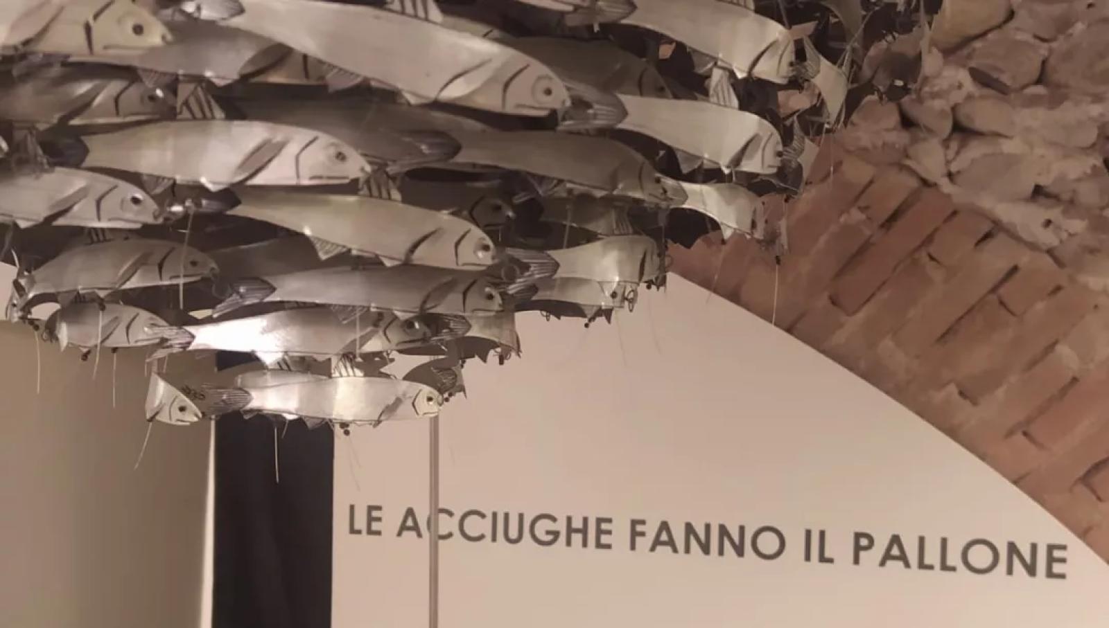 Biffi le acciughe fanno il pallone